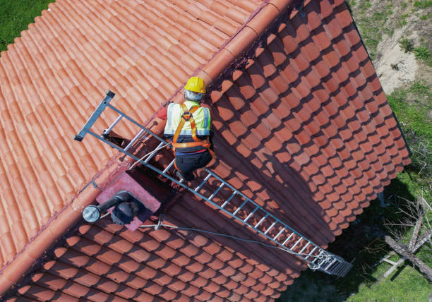 Best Roof Coating and Sealing  in Osceola, AR