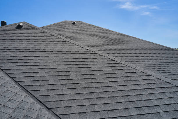 Best Skylight Installation and Repair  in Osceola, AR